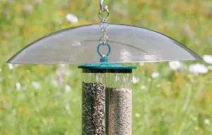 20" Clear Squirrel Baffle