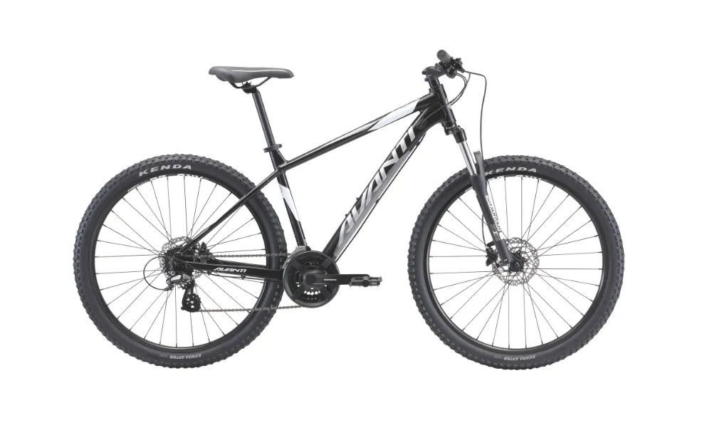 Avanti 2022 Montari 1 (29")