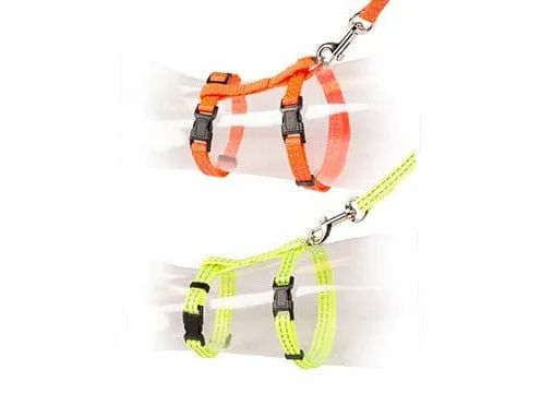 BIG CAT WALKING SET REFLECTIVE UNI 30-50cm / 12mm - 125cm