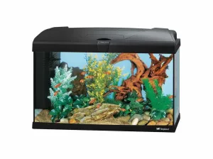 CAPRI 60 LED BIANCO ACQUARIO