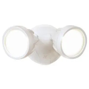 LED Flood Light, Twin-Head, White