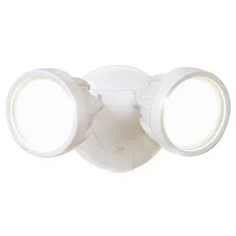 LED Flood Light, Twin-Head, White