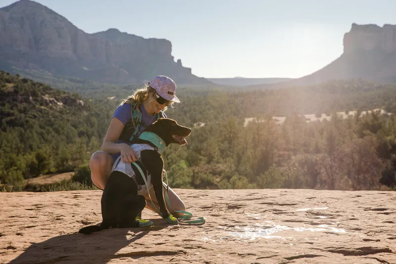 New Ruffwear Flagline™ Dog Lead